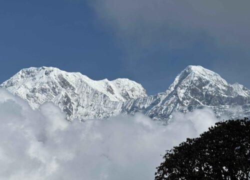 Mardi Himal Trekking
